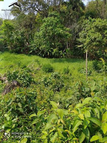 Imagem 6 de 8 de Terreno Na Região Do Km 39 Em Cotia - 307