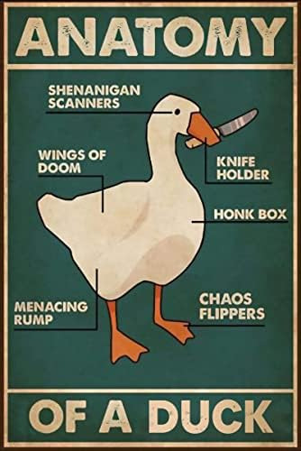 Duck Knowledge Metal Tin Sign Anatomía De Un Pato Retro Post