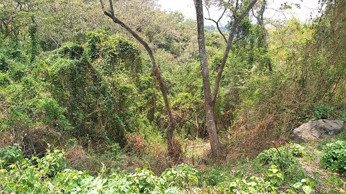 Imagen 8 de 8 de Vendo O Alquilo Bonito Terreno Para Proyecto Comercial
