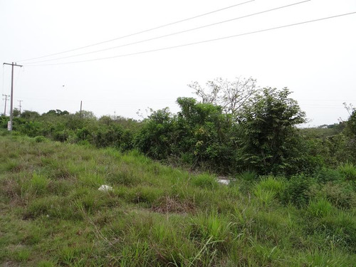 Terrenos Renta Salida A Tamiahua Tuxpan Veracruz