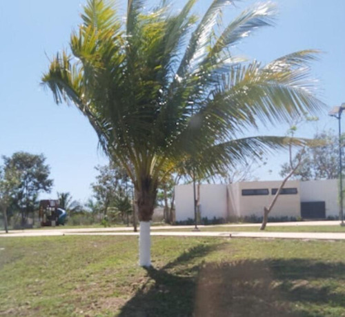 Terreno En Venta En Privada Con Amenidades En Cholul