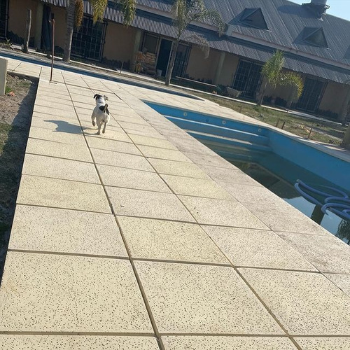 Revestimiento Para Piscina Solárium Arena 50 X 50