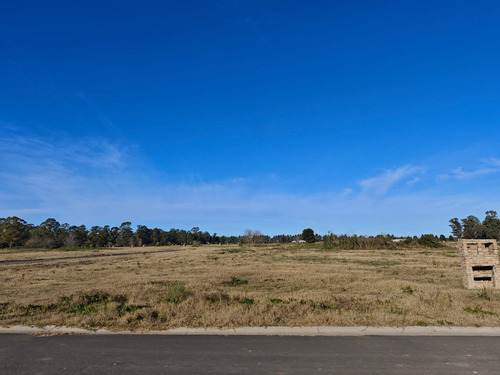 Venta Lote Los Pinares Country Club- Oportunidad!