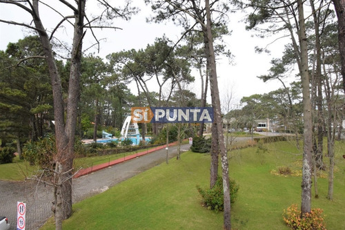 Imagen 8 de 17 de Amplio Con Vista A Jardín