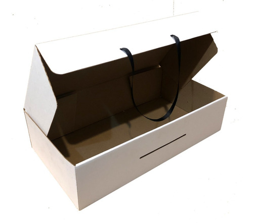 Caja Bolsa Valija Autoarmable Ropa Regalo 40x22x10 Sin Cinta