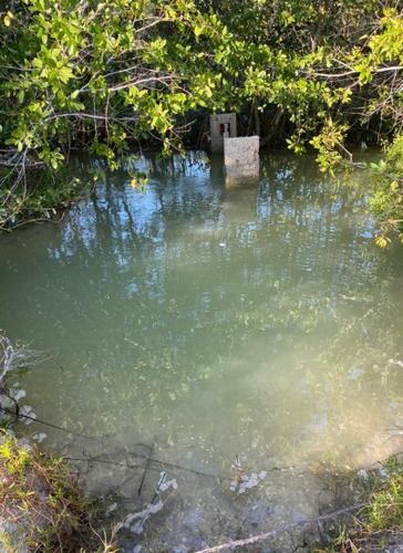 Venta De Terreno En La Reserva De Celestún