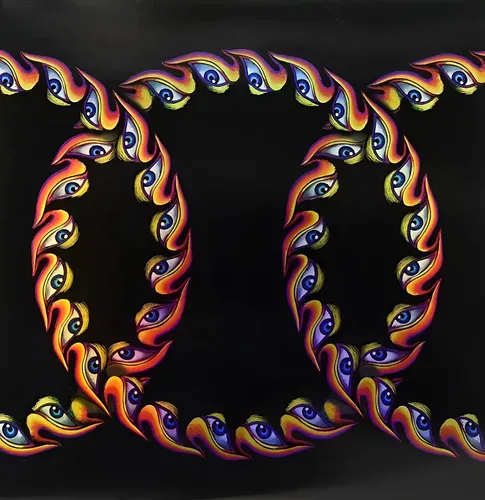 Tool Lateralus 2 Lp Picture Disc Gatefold | MercadoLivre