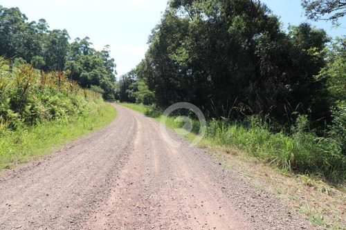 Imagem 8 de 15 de Área De Terra À Venda Em Picada Schneider 30000 M²- Presidente Lucena/rs - Ar0014