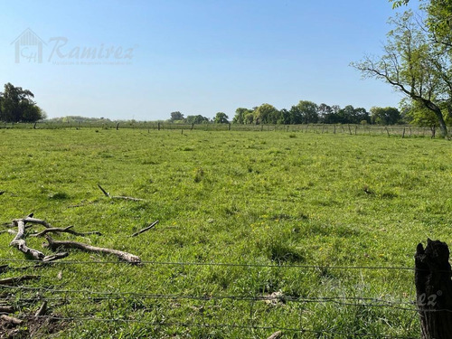 Imagen 7 de 15 de Campo En Venta - General Rodríguez