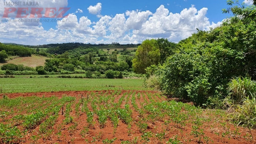 Chácaras_sítios_fazendas Para Venda - 13650.7652