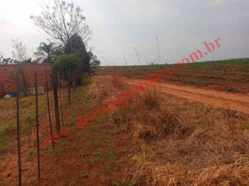 Imagem 8 de 12 de Venda - Chácara - Colina Santa Izabel (tupi) - Piracicaba - Sp - D1459