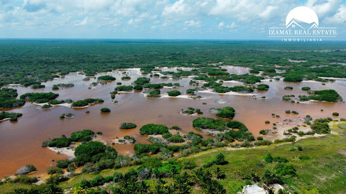 Imagen 4 de 8 de Terreno En Venta En Telchac Puerto A 500 M De La Playa