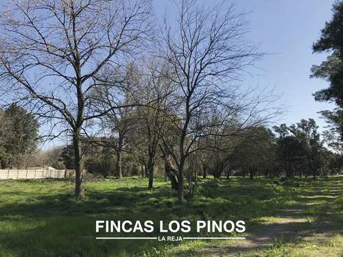 Venta Lote 925 M2 Fincas De Piovano - La Reja Sur