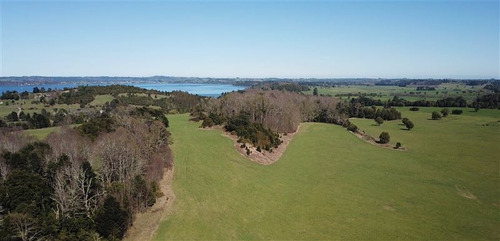 Imagen 8 de 16 de Agrícola En Venta En Río Bueno