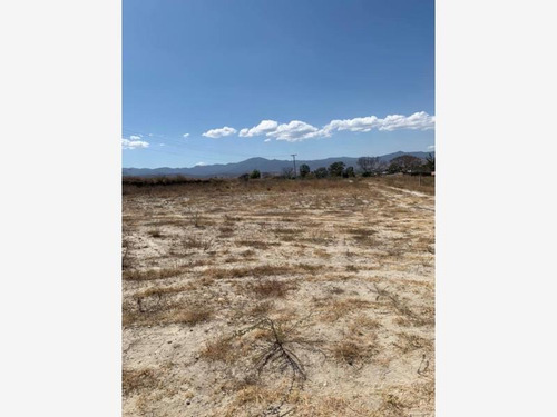 Imagen 3 de 4 de Terreno En Venta San Sebastián