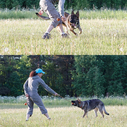 Juguetes De Cuerda Para Perros Bola De Entrenamiento Para Pe