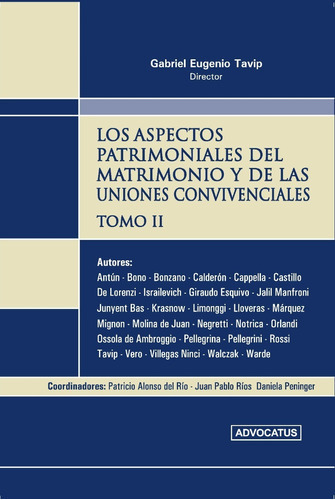Aspectos Patrimoniales Del Matrimonio Y De Las Uniones Convivenciales - 2 Tomos, De Tavip, Gabriel Eugenio. En Español