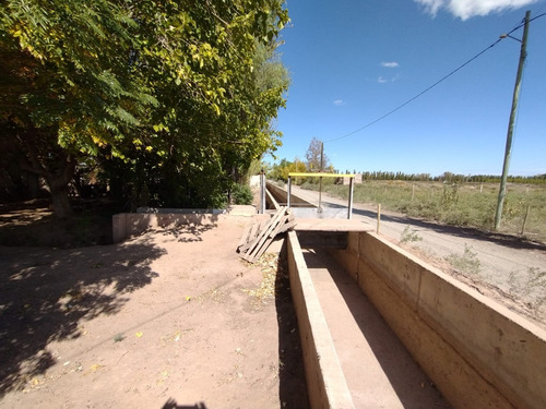 Imagen 9 de 16 de ¡zeballos Estudio Jurídico E Inmobiliaria Vende Finca En Producción En Lavalle! Mat. 134/135