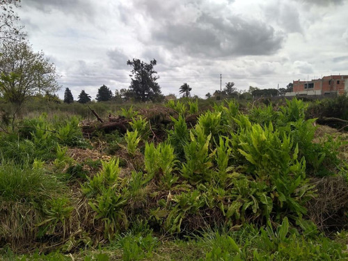 Imagen 2 de 4 de Terreno - José Hernández