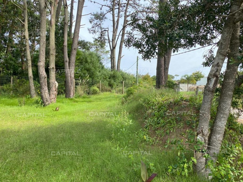 Imagen 4 de 17 de Hermoso Terreno En Golf, Punta Del Este - Punta Del Este Golf
