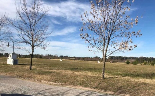 Imagen 4 de 6 de Terreno En Venta En Everlinks