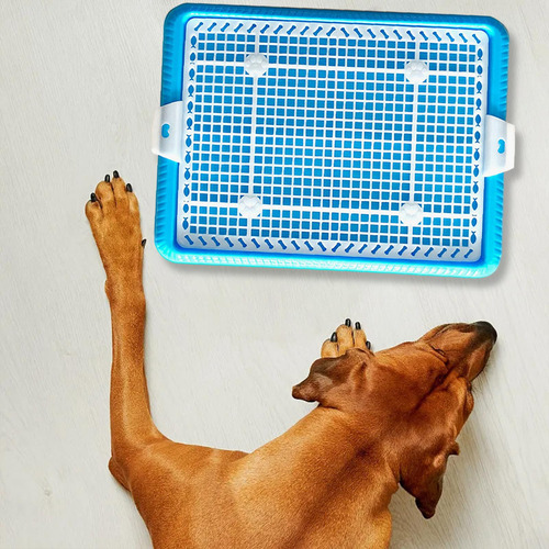 Bandeja Para Orinal Para Perros Y Cachorros, Bandeja De Azul