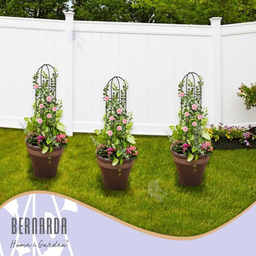 Imagen 7 de 9 de Tutor Para Plantas Huertas Jardín Trepadoras Hierro Pack X 2
