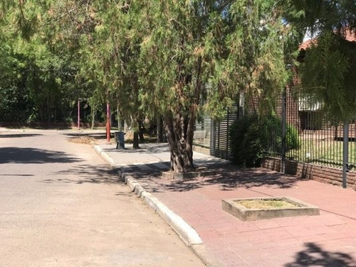 Imagen 8 de 11 de Terrenos Hermanos Residenciales Sobre Río Negro