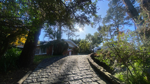 Imagen 12 de 26 de Alquiler Anual Casa Punta Del Este