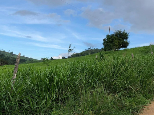 Imagem 2 de 15 de Fazenda Para Venda Em Canhotinho, Zona Rural - In - 0010_1-2014430