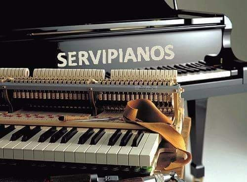 Pianos : Para Su Cuidado Existe Servipianos,afinacion,repara