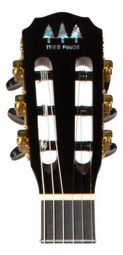 Guitarra Electroacústica Tres Pinos,color Negro Tpces-0600bk Negro Diestro Ébano