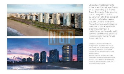 Torres Trump Premium-ref:18414
