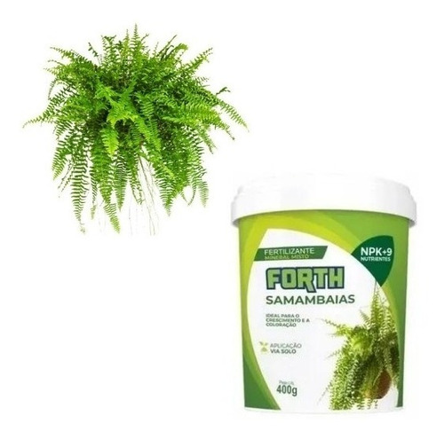 Imagem 1 de 3 de Adubo Fertilizante Forth Samambaia 400g - Crescimento