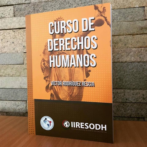 Curso De Derechos Humanos