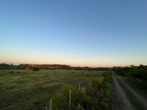 Campo De 6 Hectáreas 21 Areas En San Jose Entre Rios