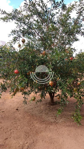 Imagem 30 de 30 de Chácara À Venda Em Vale Das Laranjeiras - Ch006892