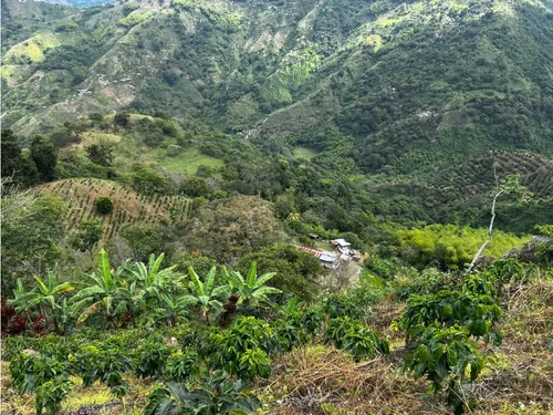 Se Vende Finca En Barragán