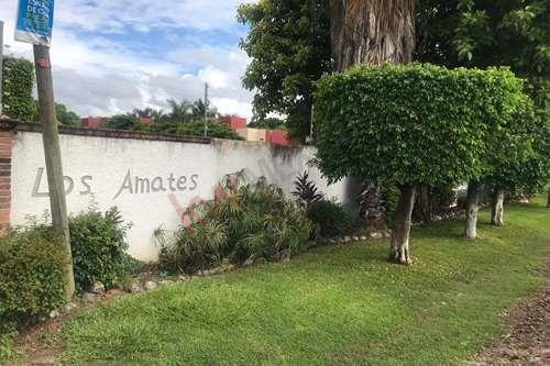 Imagen 7 de 21 de Quietud, Tranquilidad Y Calidad De Vida En Yautepec, Morelos