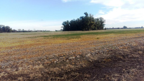 430 Has. Agrícolas Sobre Asfalto