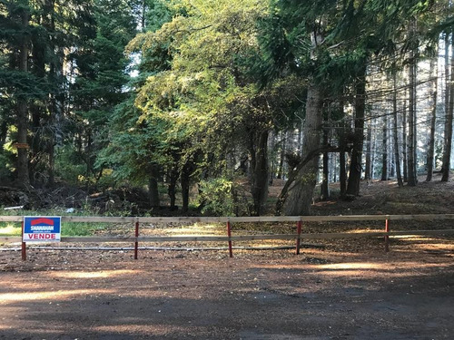 Imagen 6 de 11 de Terreno - Villa La Angostura