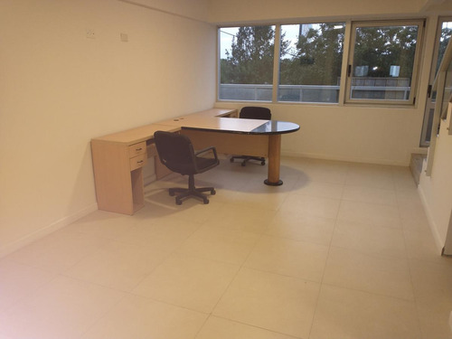 Imagen 7 de 16 de Edificio Comercial A Estrenar 12 Ambientes, Cocheras, Detalles De Categoría.