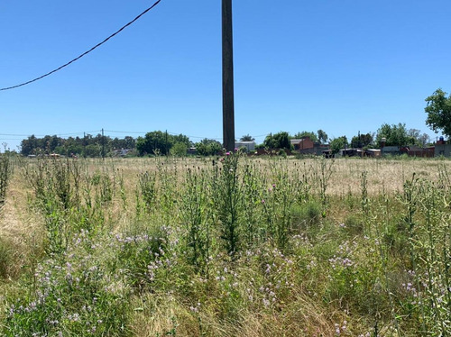 Imagen 10 de 12 de Terreno En Venta En Los Hornos | 80 Bis E/141y142 (lote 16)