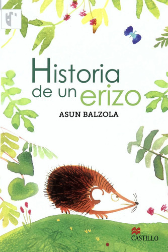 Historia De Un Erizo, De Balzola, Asun. Editorial Macmillan Castillo, Tapa Rustica En Español