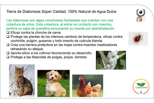 1 Lt Jabón Potásico+1 Aceite De Neem Puro+1 Tierra Diatomeas