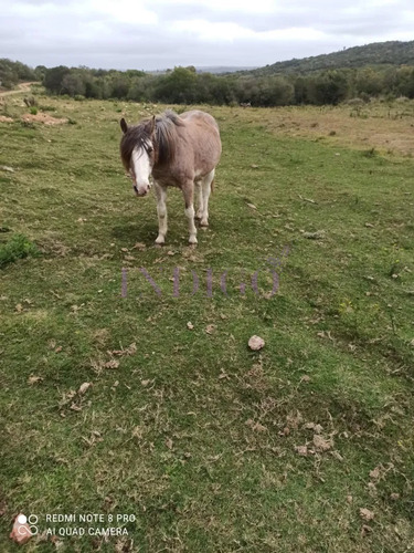 Chacra En Zona De Las Cañas, Buenas Vistas Con Tajamar Y Arroyos!
