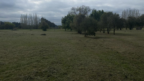 Terreno - Los Girasoles De Lujan