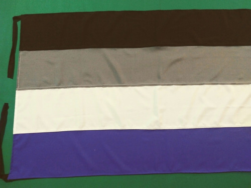 Bandera Asexual, Comunidades Lgbt Hacemos Todas Las Banderas