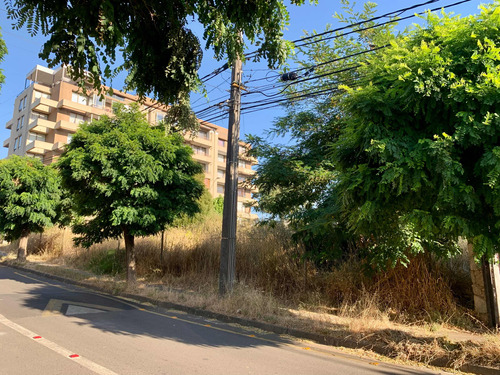 Sitio Esquina, 1000 Mts2 A Pasos De Avda San Sebastián