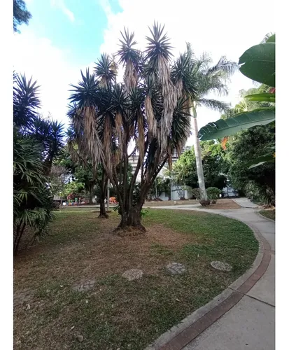 Casa En Venta - San Bernardino